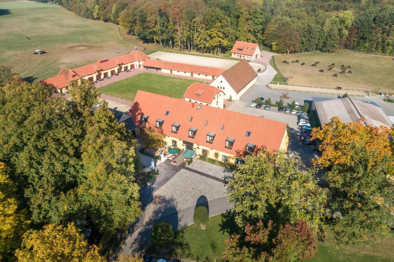 Hotel Rittergut Osthoff Georgsmarienhütte Exteriör bild